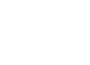 Liva logo